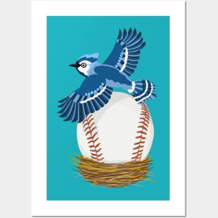 Play Ball! Blue Jay Baseball Egg in Nest Posters and Art